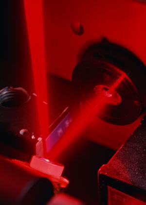 家畜の行動を管理できる電気柵を扱う業者の選び方